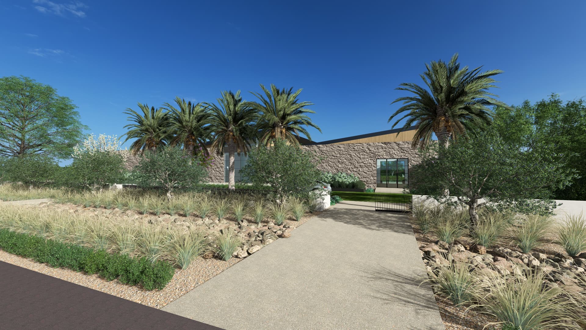 Driveway approach beneath the palms