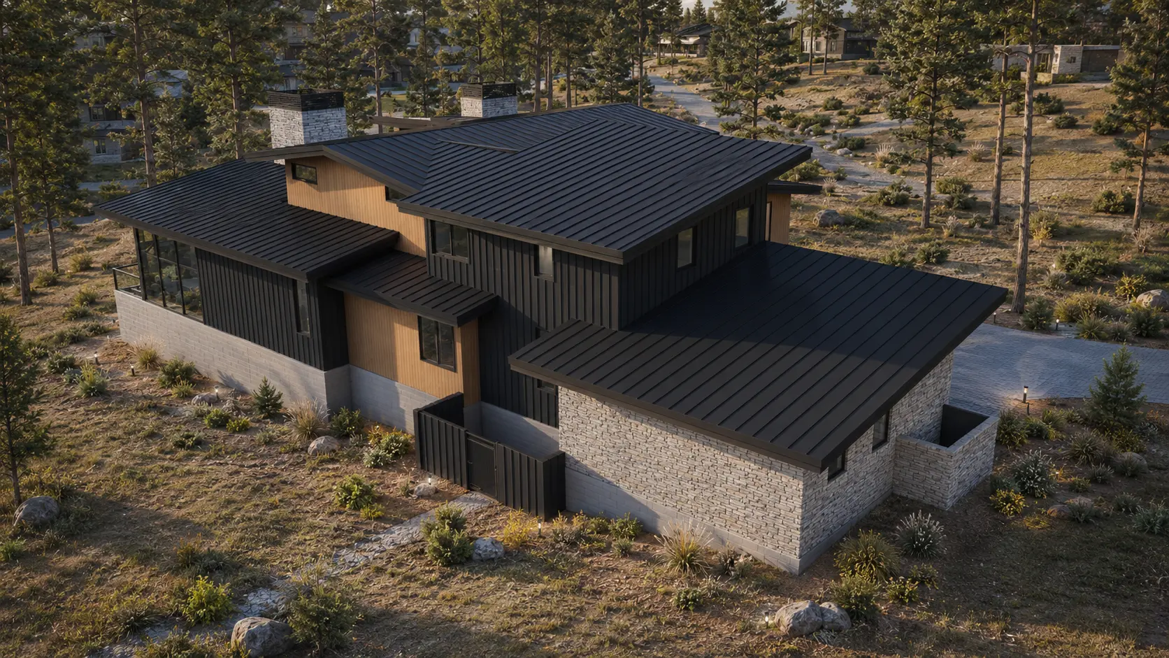 Aerial view among the pines