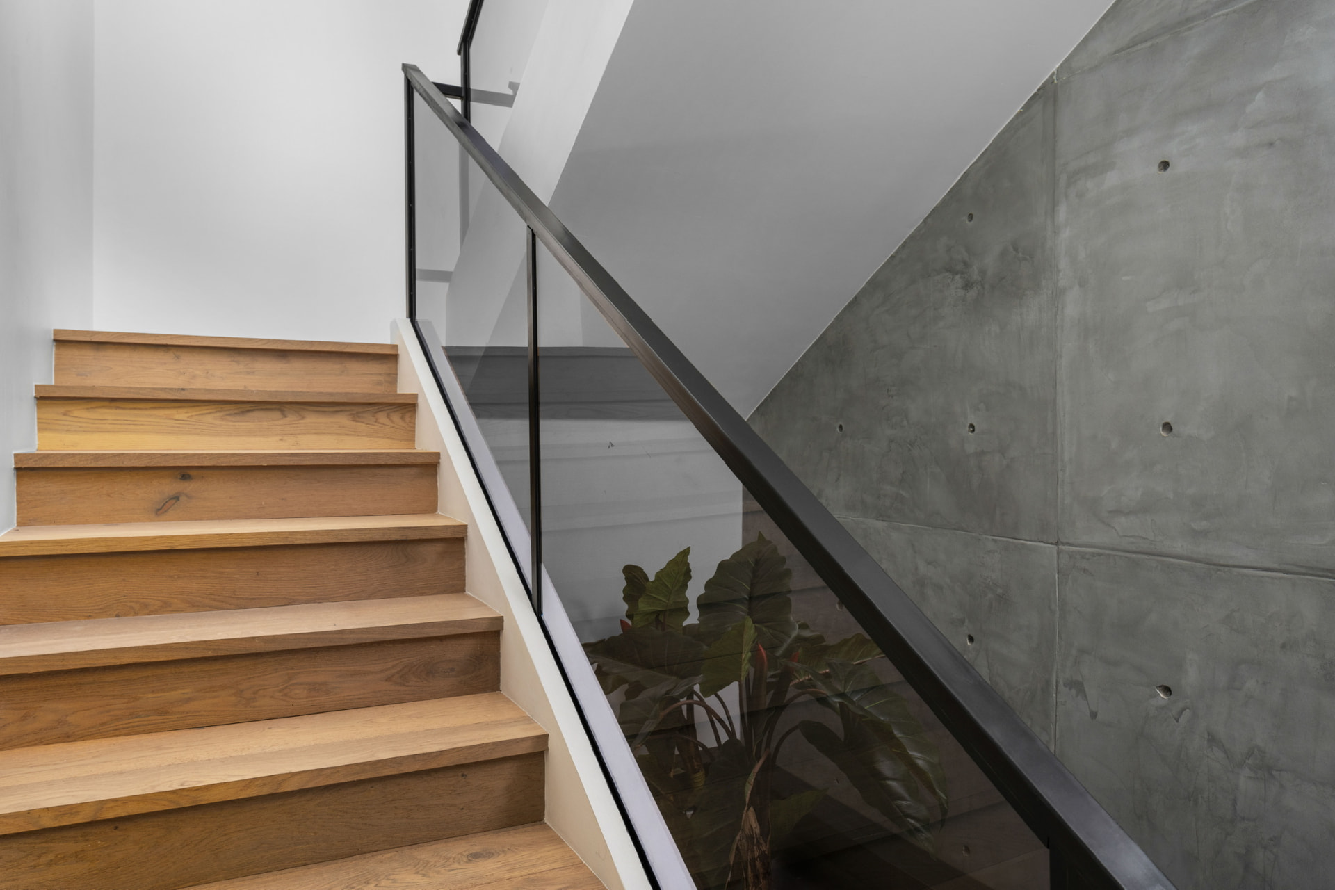 Oak staircase with glass railing and concrete wall